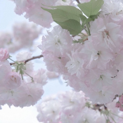 剑阁FurryQQ群介绍